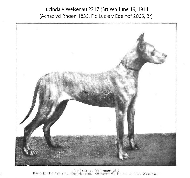 Lucinda v Weisenau